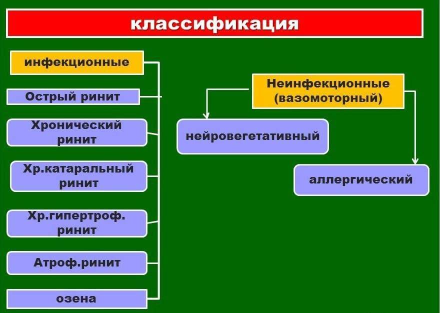 Ринит аллергический - описание, причины, диагностика, лечение.