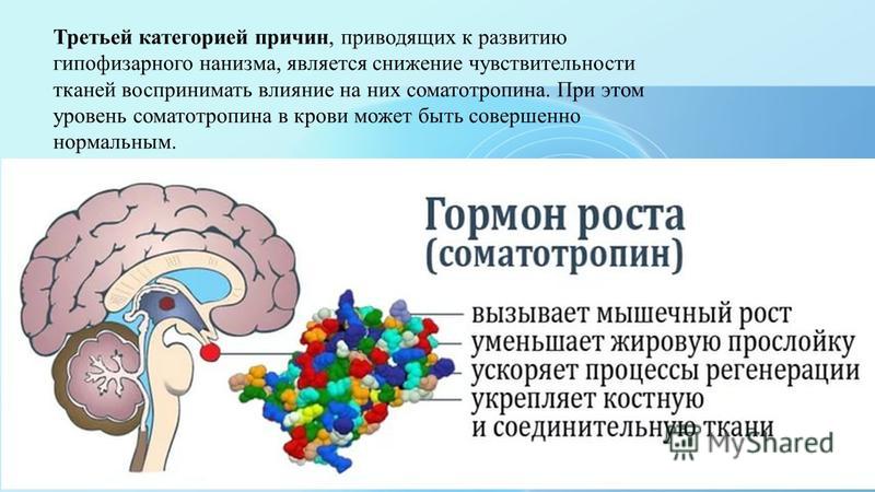 Карликовость (гипофизарный нанизм): что это такое, причины, симптомы и лечение