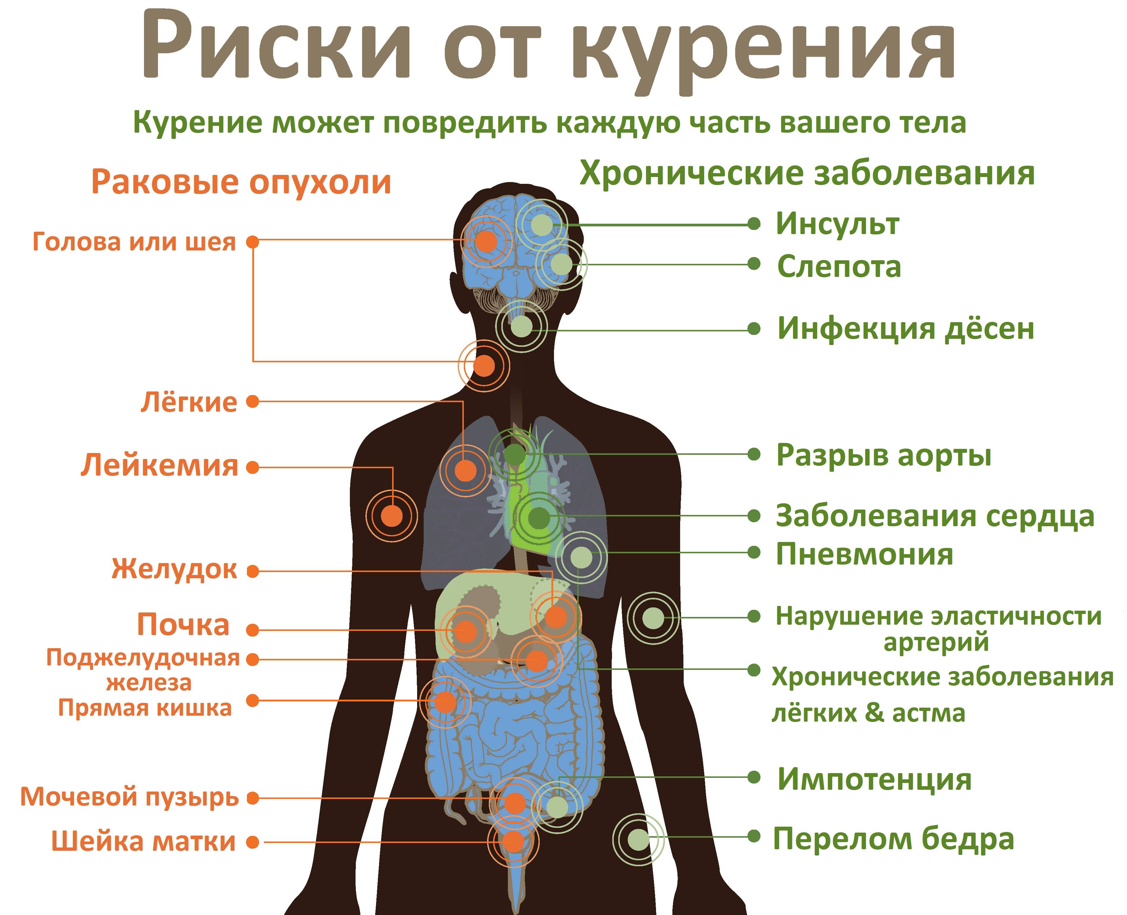 Самые опасные инфекции в истории человечества