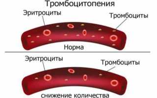 Аналоги телмиста