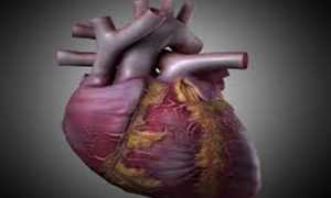 Симптомы и лечение хронической сердечной недостаточности