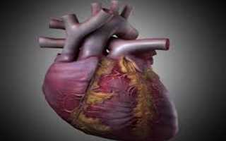 Симптомы и лечение хронической сердечной недостаточности