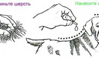 Инструкция по применению Фронтлайн капли