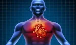 Сердечная недостаточность: симптомы и лечение народными средствами