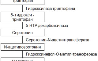 Триптофан эвалар. отзывы пациентов принимавших препарат, инструкция по применению, аналоги, состав