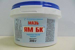 Мазь ям для кошек противопоказания к применению. Можно ли применять мазь ям для кошек