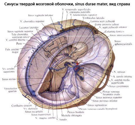 Морган э. дж. клиническая анестезиология. книга 1 - файл ?????? - ??????????? ?????????????? ????? 1.doc