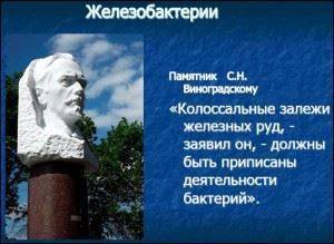 Питание термофильных бактерий и вызываемые ими процессы