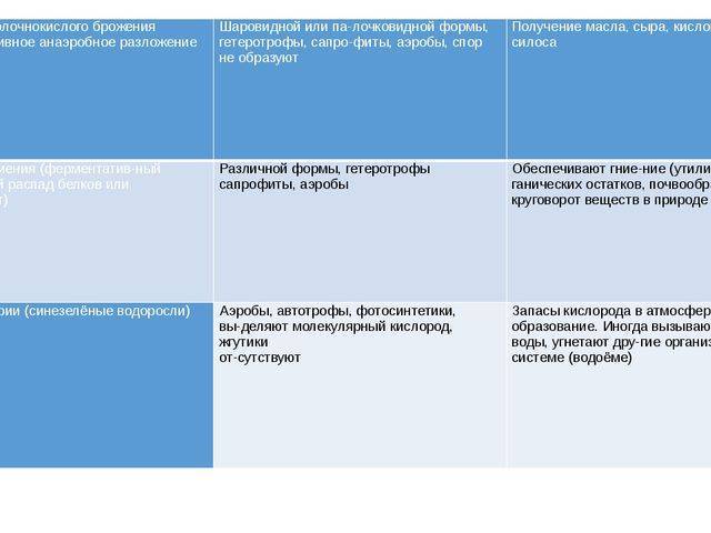 Основные виды деления бактерий и факторы ограничения роста популяции