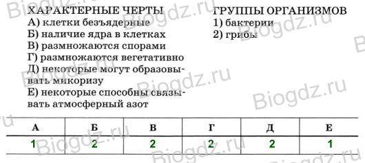Брожение – энергия для бактерий, польза для человека