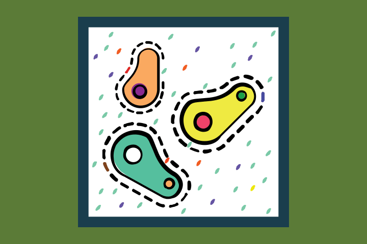 Маслянокислое брожение