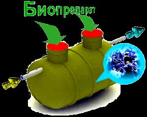 Питание термофильных бактерий и вызываемые ими процессы