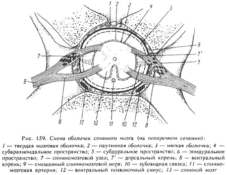 Морган э. дж. клиническая анестезиология. книга 1 - файл ?????? - ??????????? ?????????????? ????? 1.doc