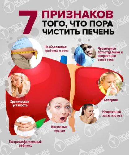 Токсины природного происхождения (стр. 1 из 3)