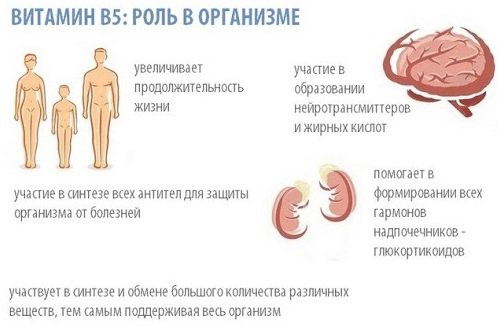 Триптофан: инструкция по применению, цена в аптеке, отзывы, аналоги, показания к применению
