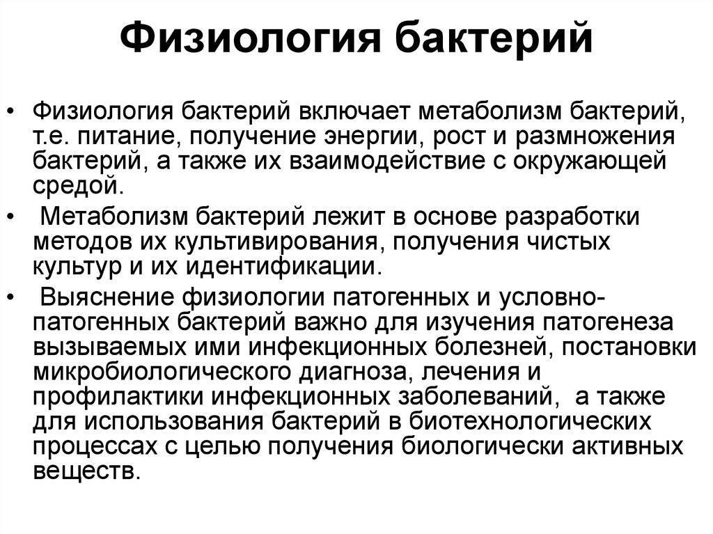 Полезные и вредные бактерии