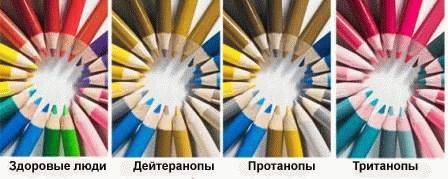 Тест на дальтонизм. полихроматические таблицы рабкина
