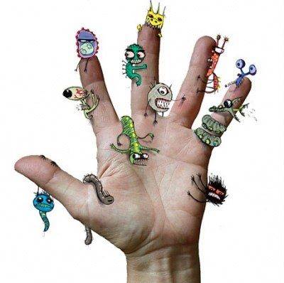 Питание термофильных бактерий и вызываемые ими процессы