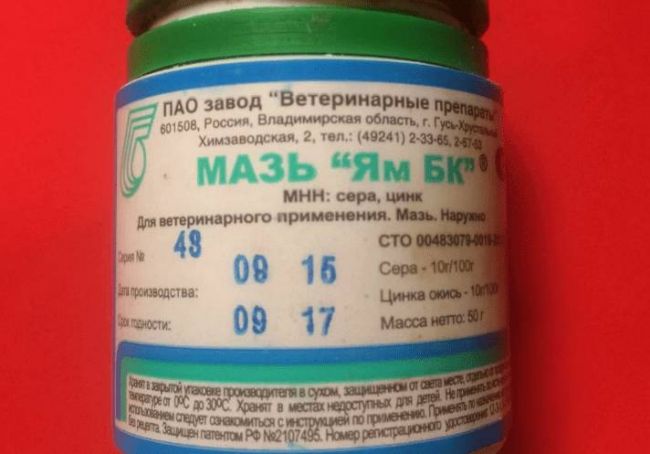 Мазь ям для кошек противопоказания к применению. Можно ли применять мазь ям для кошек