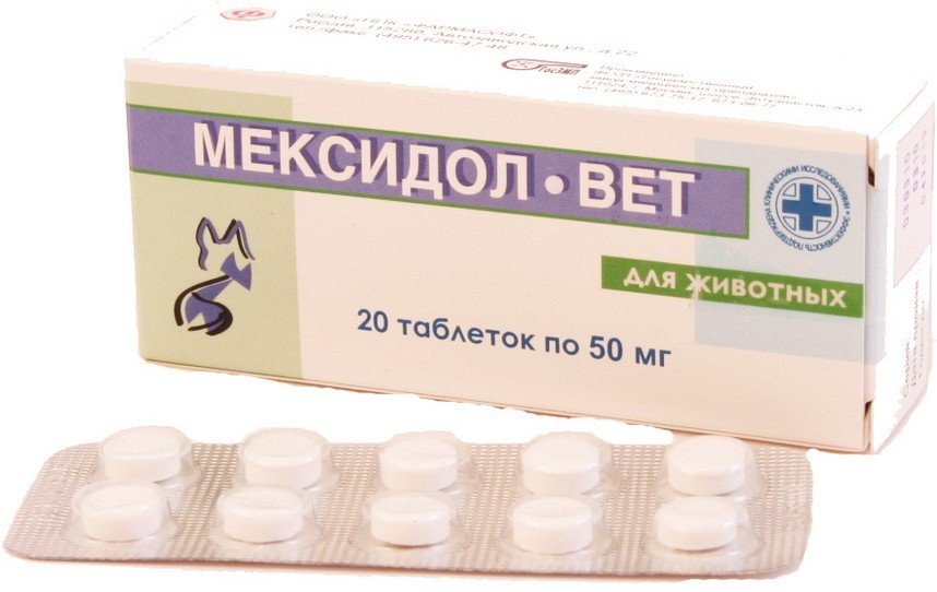 “мексидол — от чего помогает и как принимать, инструкция”