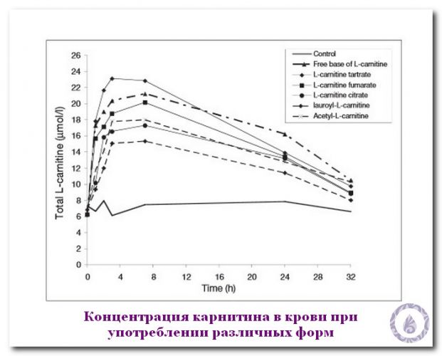 Как лечить заболевания щитовидной железы средством левокарнитин?