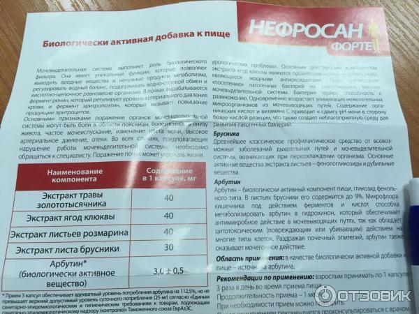 Нефросан форте — можно ли беременным, при цистите