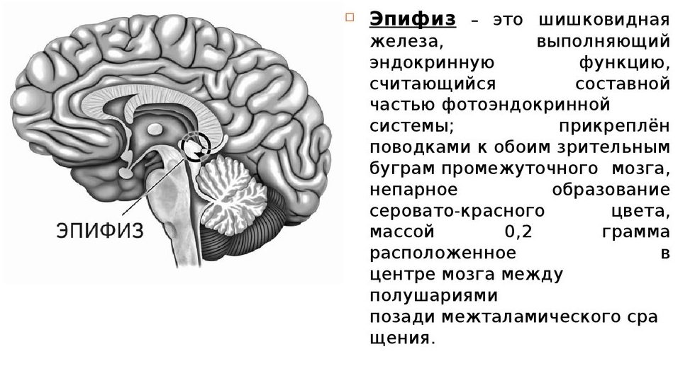 Велсон отзывы