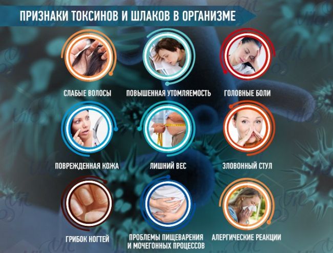 Токсины природного происхождения (стр. 1 из 3)