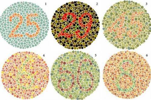 Тест на бронхиальную астму онлайн