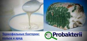 Питание термофильных бактерий и вызываемые ими процессы