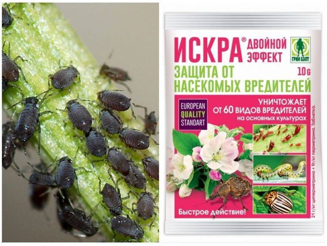 Препараты Искра от вредителей, применение