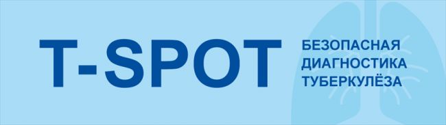 Анализ крови при туберкулезе легких: показатели, изменения, расшифровка – что покажет клинический и биохимический анализ, антитела