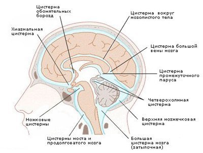 Морган э. дж. клиническая анестезиология. книга 1 - файл ?????? - ??????????? ?????????????? ????? 1.doc