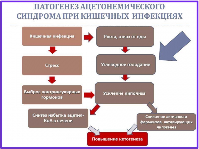 Диета при ацетоне у ребенка: меню, правила питания после повышенного ацетона
