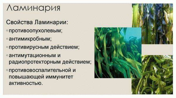 Аллергия на брокколи