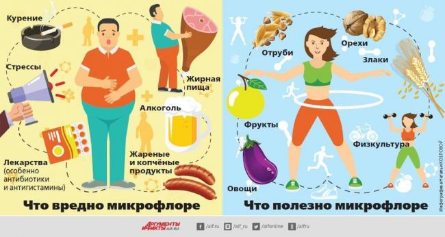 Вирусы, микробы и бактерии: в чем отличия?