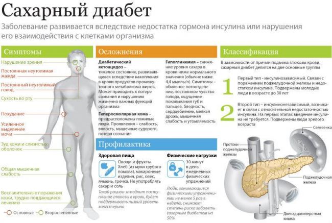 Повышен инсулин в крови: причины, симптомы, лечение, диета