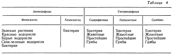 Где мы применяем бактерии и может ли человечество обойтись без них?