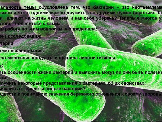 Царство бактерий, строение и жизнедеятельность мельчайших организмов