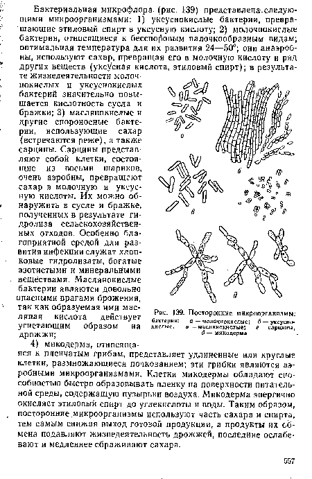 Температура как способ борьбы организма с болезнетворными бактериями