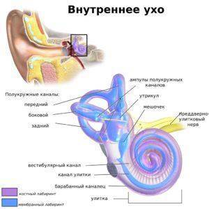 Болезни внутреннего уха и их симптомы