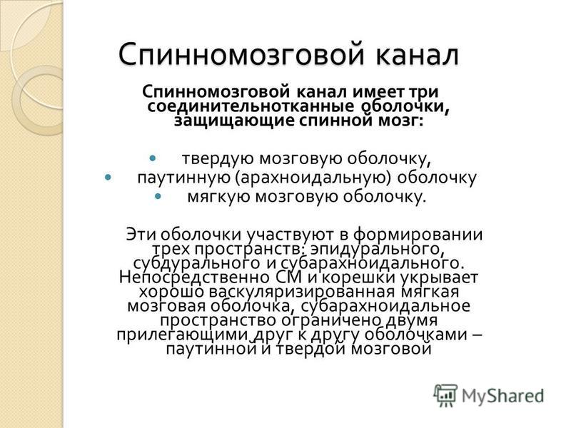 Анатомия эпидурального пространства - морган э. дж. клиническая анестезиология. книга 1 - ?????? - ??????????? ??????????????...