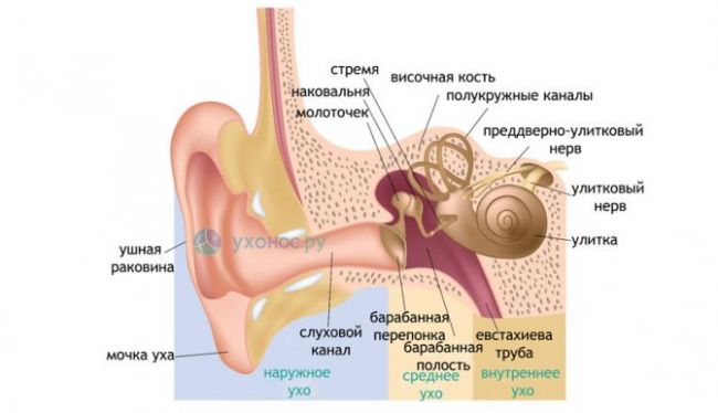Воспаление внутреннего уха