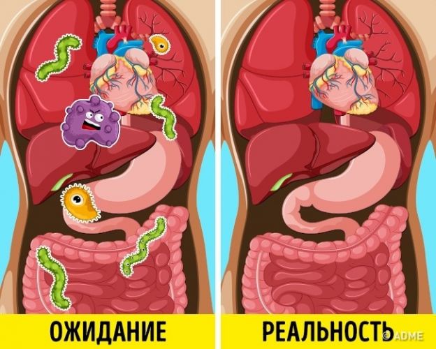 Отравление токсинами: причины, симптомы и лечение