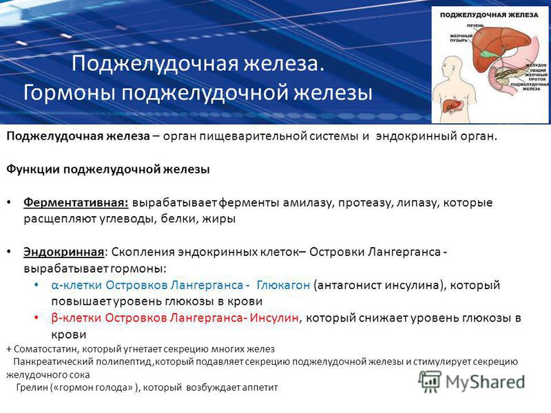 Глюкагон – роль в организме и взаимодействие с инсулином