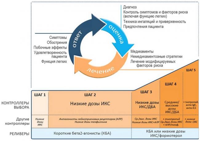 Бесплатный
