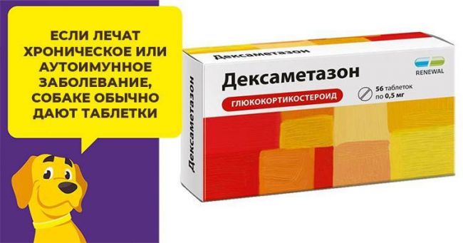Дексаметазон для собак