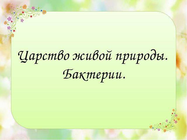 Презентация на тему: "царства живой природы бактерии очень малы. тело их состоит из одной клетки. бактерии – представители одноклеточных организмов. клетка бактерии не имеет.". скачать бесплатно и без регистрации.