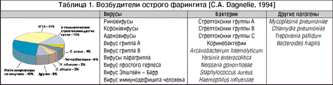 Ангина венсана (язвенно-пленчатая ангина): фото, симптомы и лечение заболевания