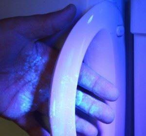 Питание термофильных бактерий и вызываемые ими процессы